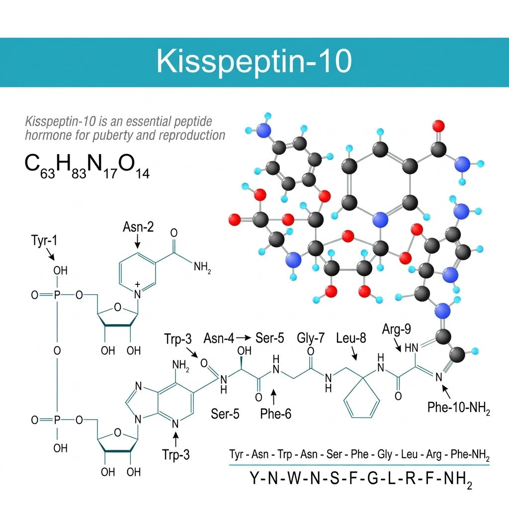 Kissapeptin 10mg